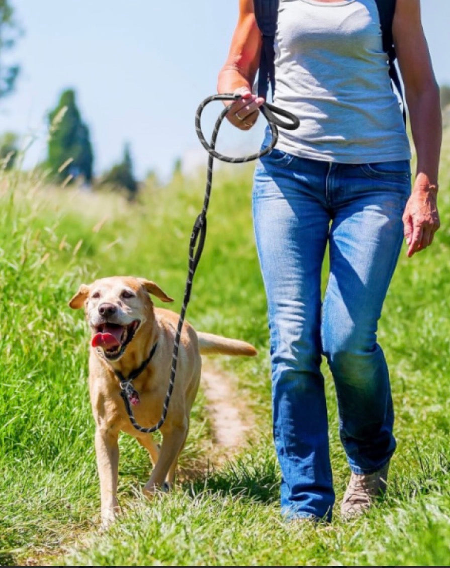 EVCİL HAYVAN FİTİL GEZDİRME TASMASI 8 MM X 120 CM